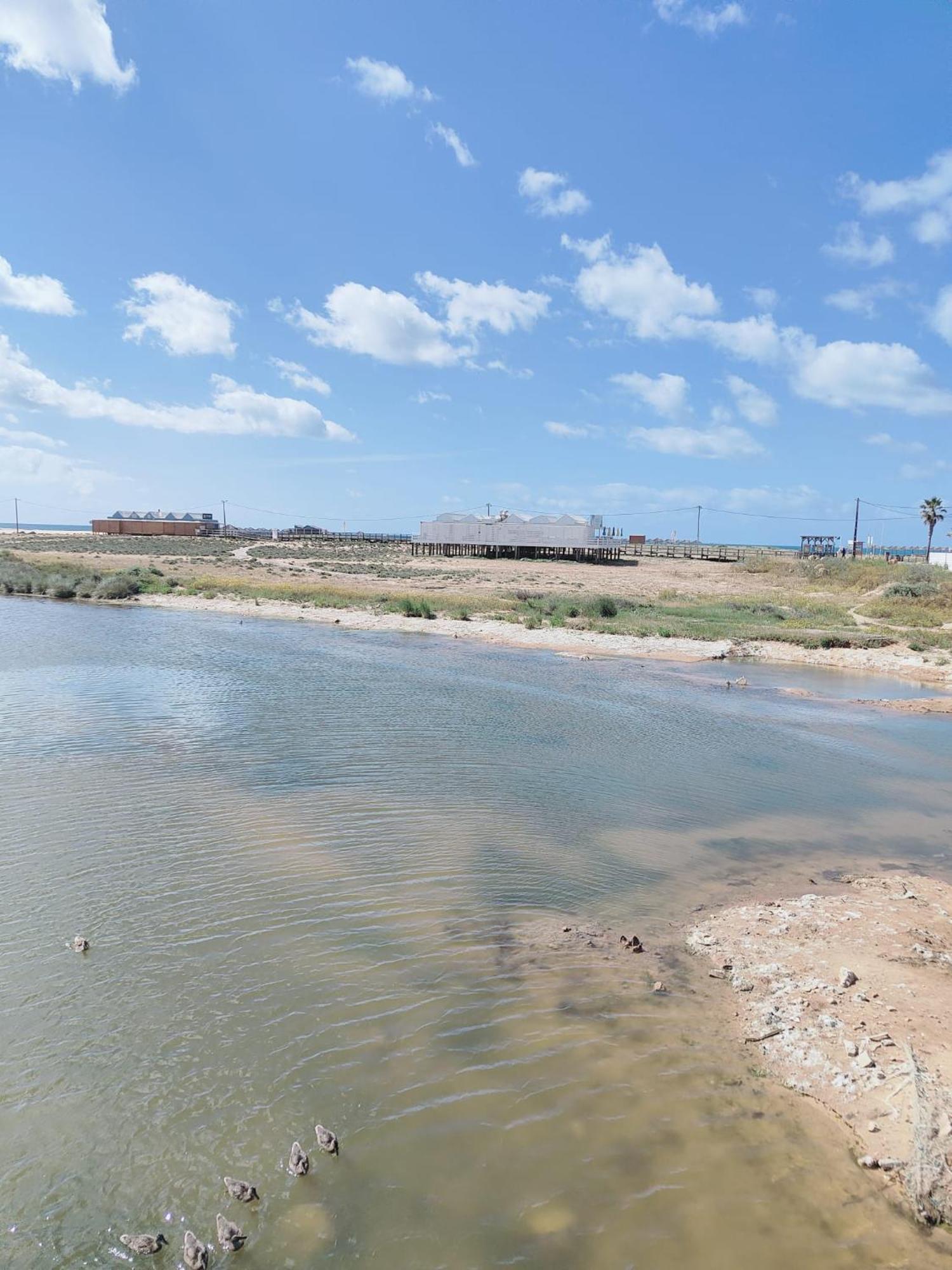 Bayline- Beachfront And Pool Armacao de Pera Exterior photo